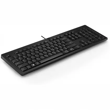 Клавиатура HP 125 266C9A6_1шт Проводная, USB