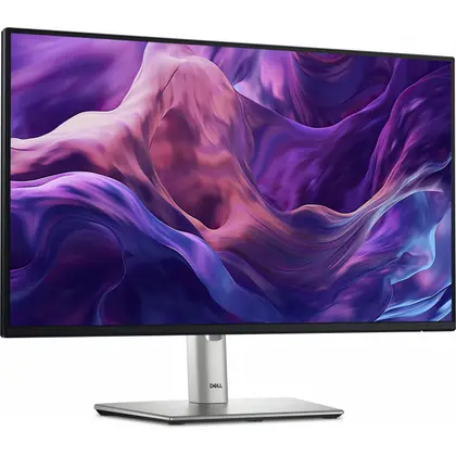 Монитор Dell P2425H (210-BMFF)