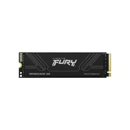 SSD диск 1 Tb Kingston Fury Renegade G5 SFYR2S/1T0