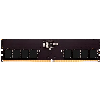 Оперативная память Netac Basic 16 Gb DDR5 5600MHz (NTBSD5P56SP-16)