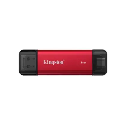 Внешний SSD диск 1 Tb Kingston Dual Portable (SPSD/1TB)
