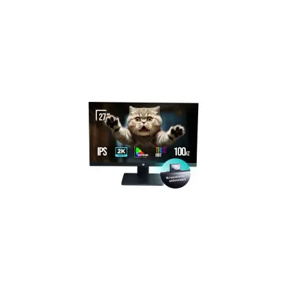 Монитор ONVYX ONMR292K100B169F [27", IPS, 2560x1440, 100 Гц, 1 мс, HDMI, DisplayPort]