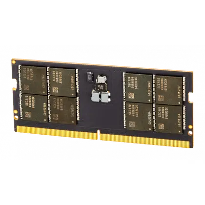 Оперативная память для ноутбука AMD Radeon R5 32GB DDR5/5200MHz/SO-DIMM/CL42 R5532G5200S2S-U