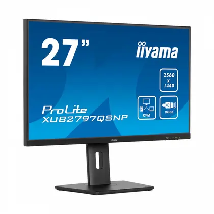 Монитор iiyama ProLite XUB2797QSNP-B1 27" IPS/2560×1440/100Hz/1ms/HDMI/DisplayPort/USB-C
