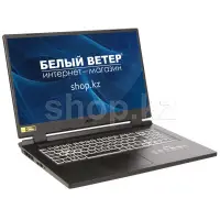 Ноутбук Acer Nitro 5 AN517-42, Ryzen 5 6600H/17.3"FHD/8GB/512GB/GF RTX3060 6GB/LAN/W11SL